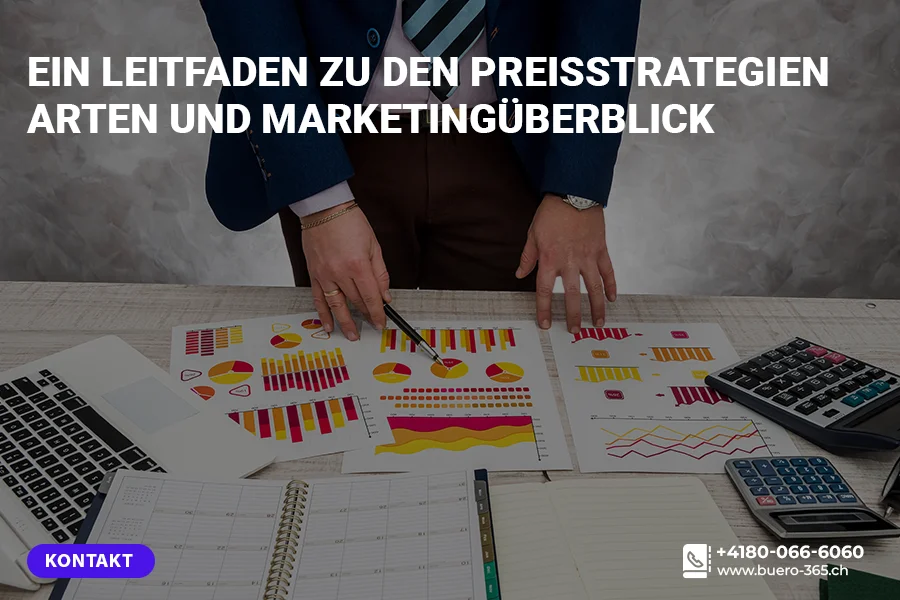 Ein Leitfaden zu den Preisstrategien Arten und Marketingüberblick
